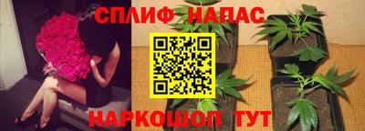 ALPHA-PVP Тверь