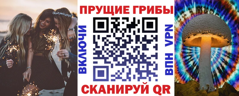 Псилоцибиновые грибы Psilocybe  Петрозаводск 