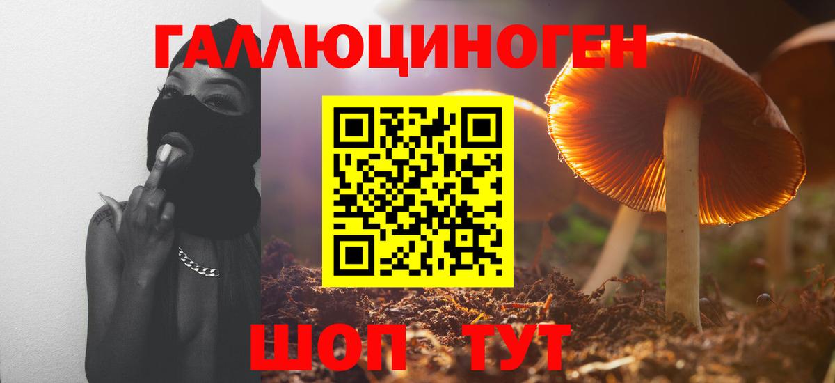 Галлюциногенные грибы ЛСД Петрозаводск